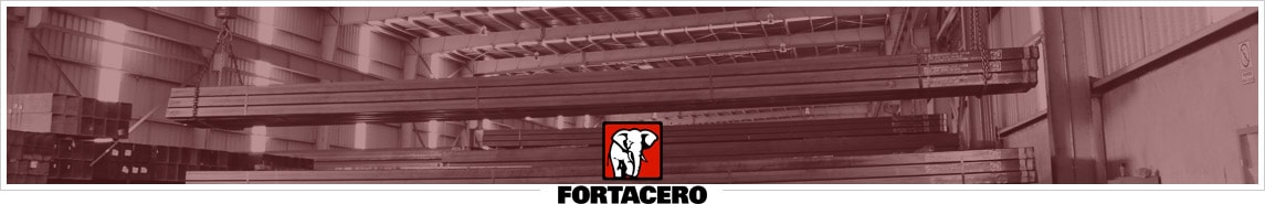 FORTACERO Nivelación de placa