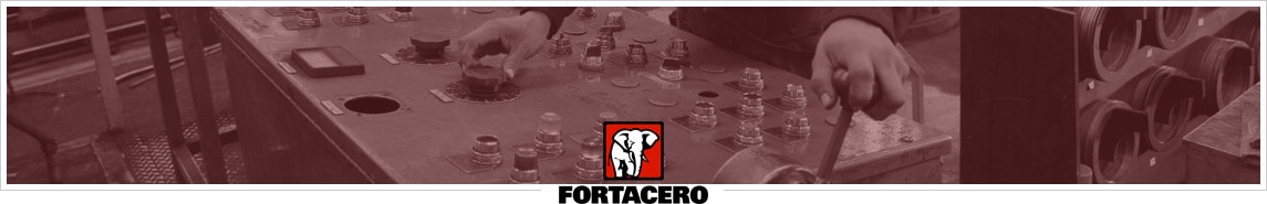 FORTACERO Nivelación de placa